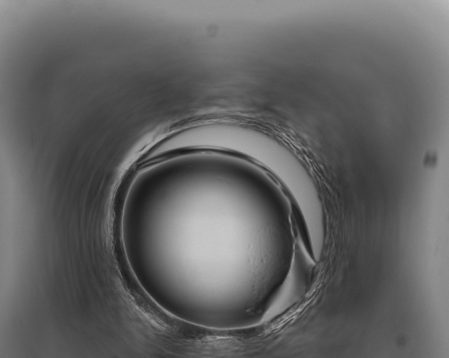 X0000095960150200801181453