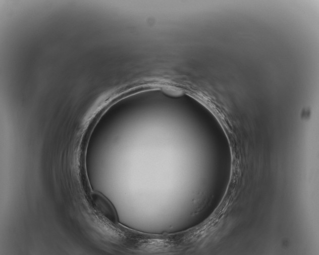 X0000095960151200801181453