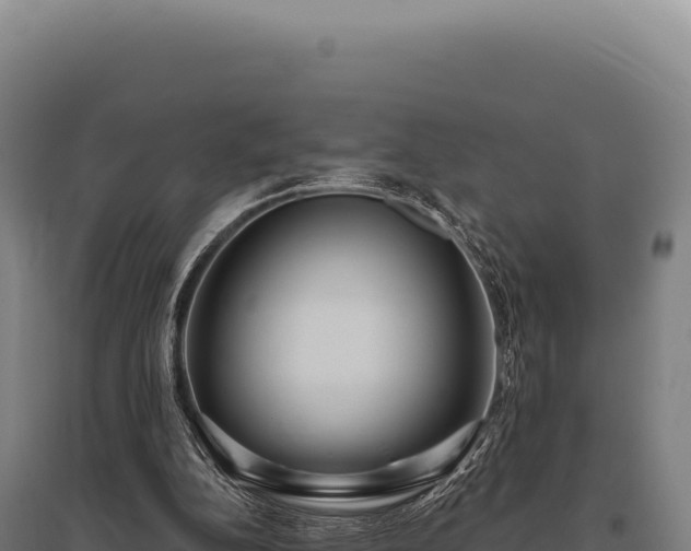 X0000095960152200801181453