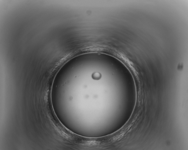 X0000095960153200801181453