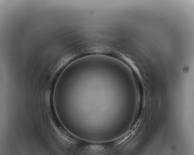 X0000095960154200801181453