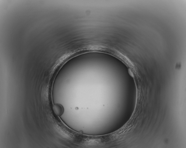 X0000095960155200801181453