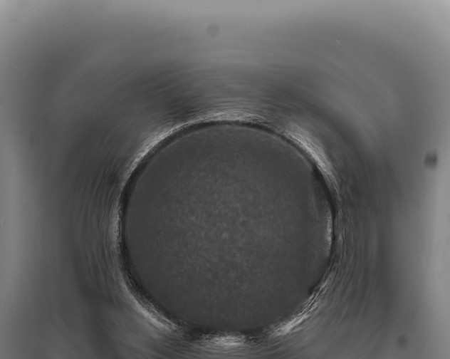 X0000095960156200801181453