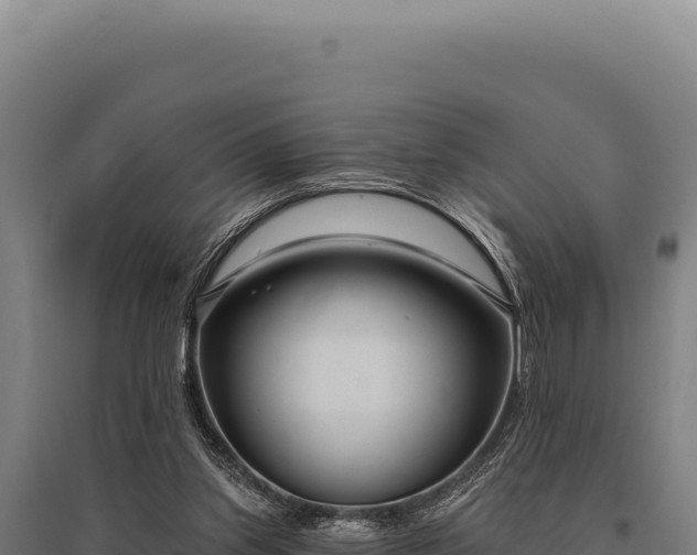 X0000095960157200801181453