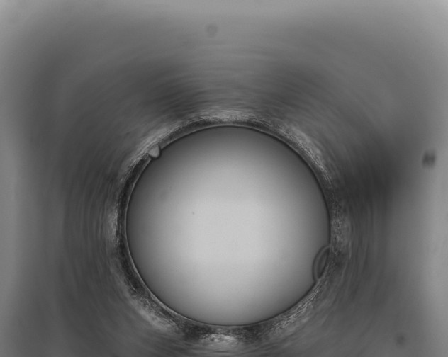 X0000095960159200801181453