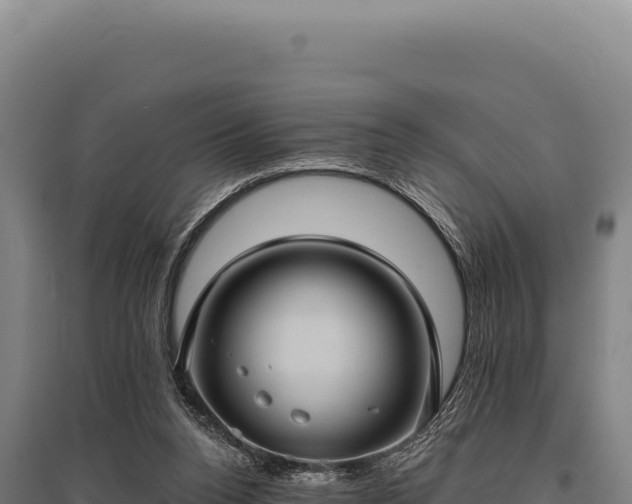 X0000095960160200801181453