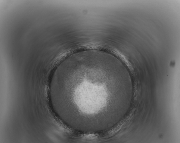 X0000095960161200801181453