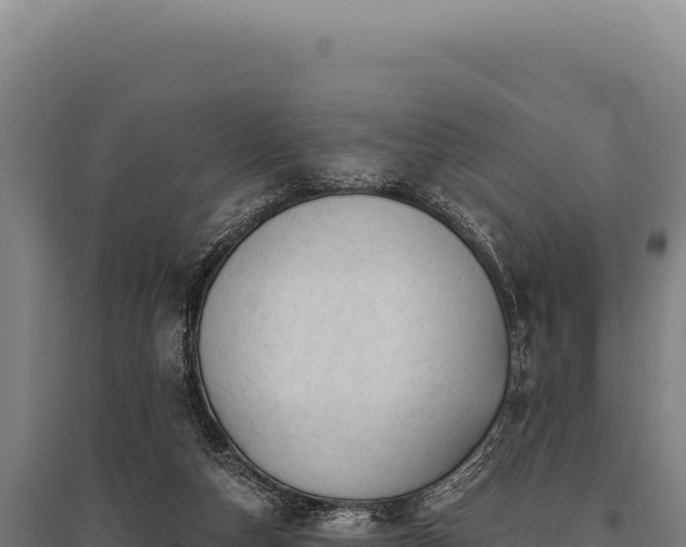 X0000095960162200801181453