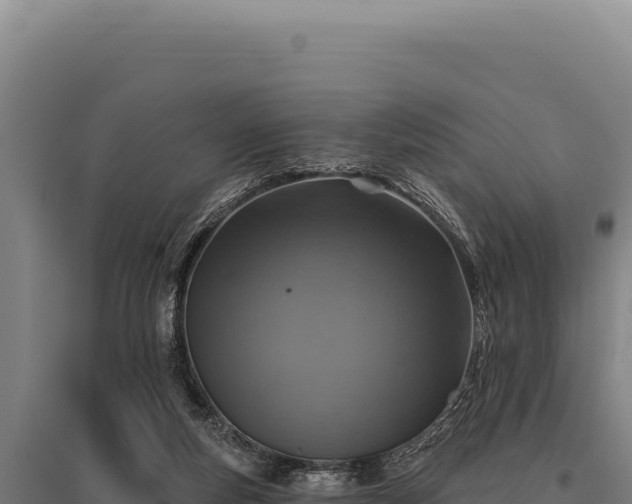 X0000095960163200801181453