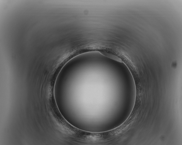 X0000095960164200801181453