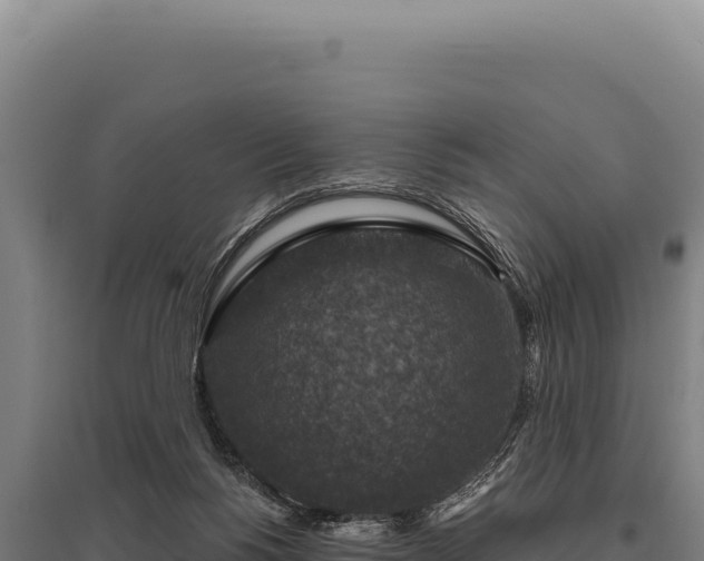 X0000095960168200801181453