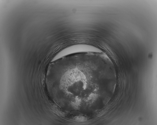 X0000095960169200801181453