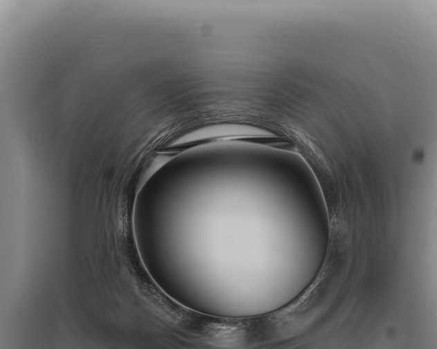 X0000095960170200801181453