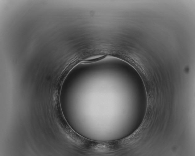 X0000095960171200801181453