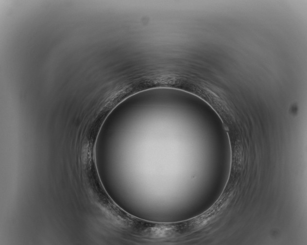 X0000095960172200801181454