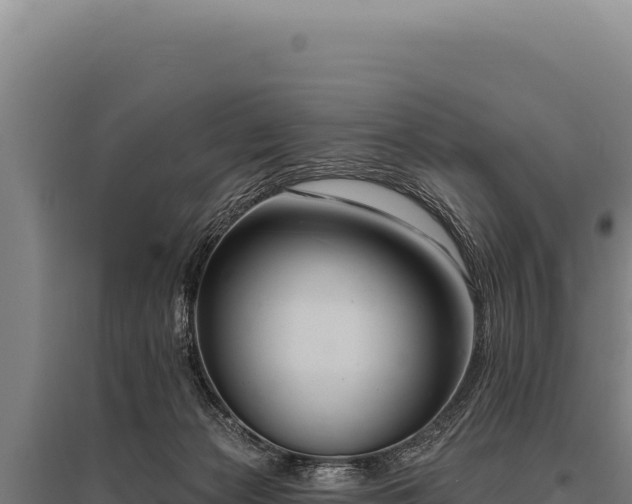 X0000095960173200801181454