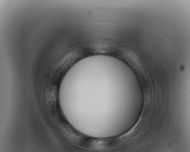 X0000095960174200801181454