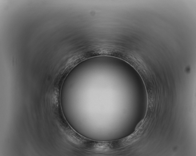 X0000095960175200801181454