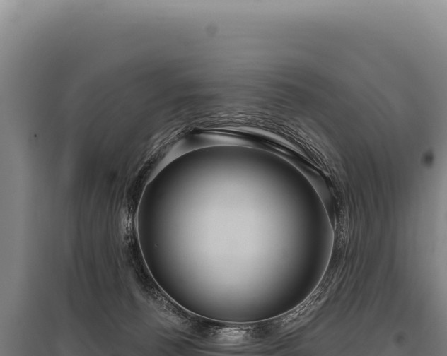 X0000095960176200801181454