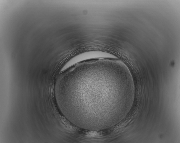 X0000095960177200801181454