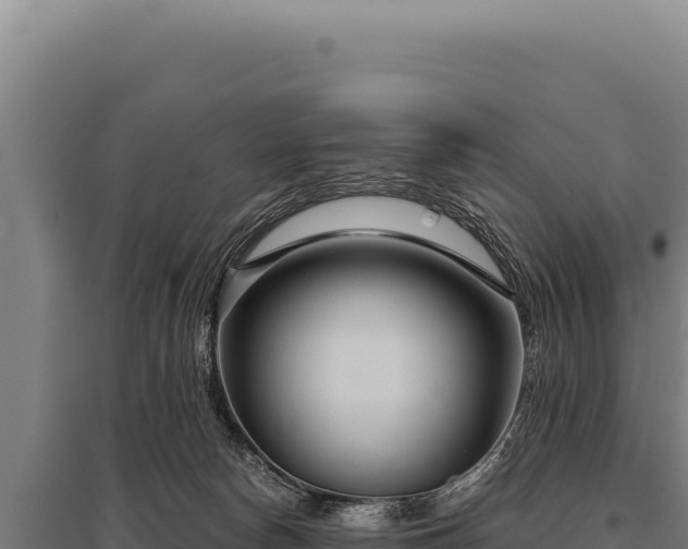 X0000095960178200801181454