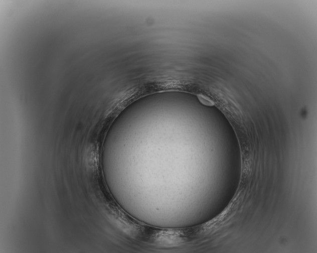 X0000095960179200801181454