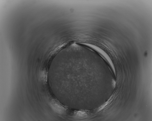 X0000095960180200801181454