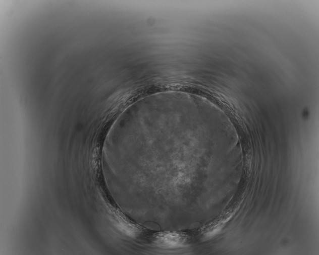 X0000095960181200801181454