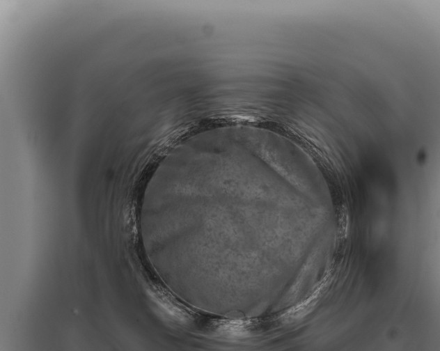 X0000095960182200801181454