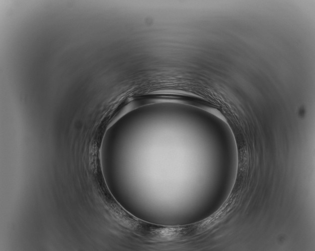 X0000095960184200801181454