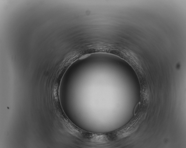 X0000095960185200801181454