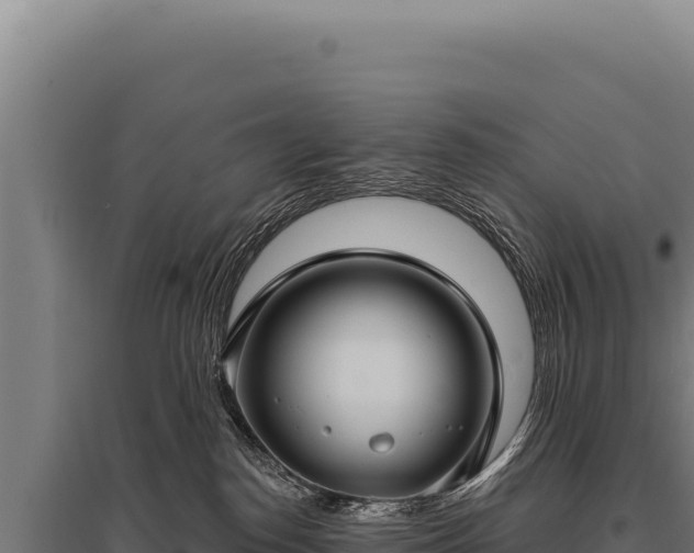 X0000095960186200801181454