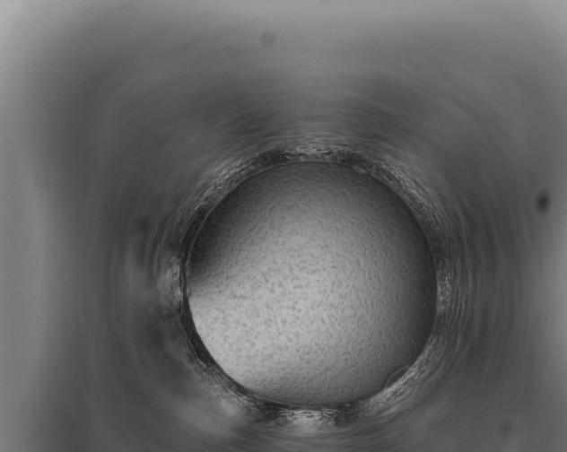 X0000095960187200801181454