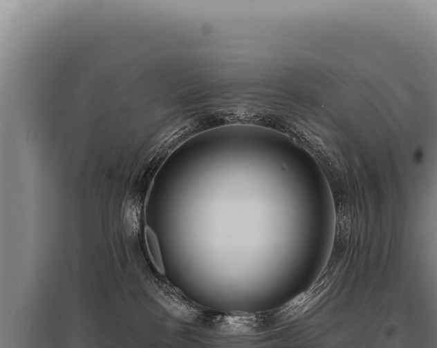 X0000095960188200801181454