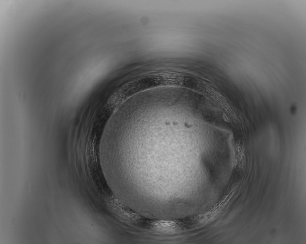 X0000095960189200801181454