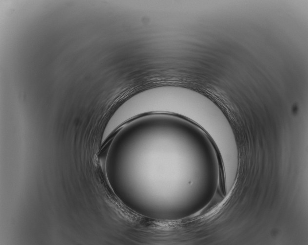 X0000095960190200801181454