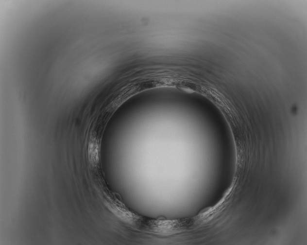 X0000095960191200801181454