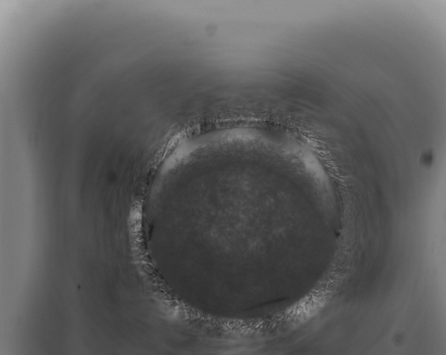 X0000095960192200801181454