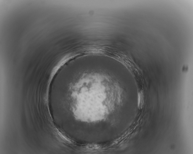 X0000095960195200801181453