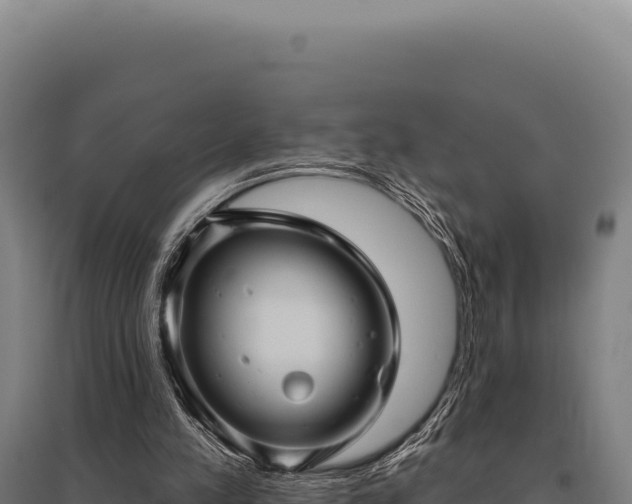 X0000095960197200801181453