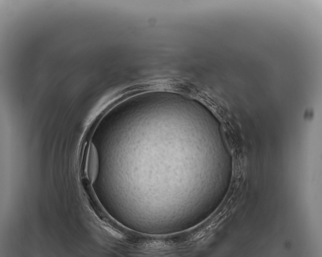 X0000095960198200801181453