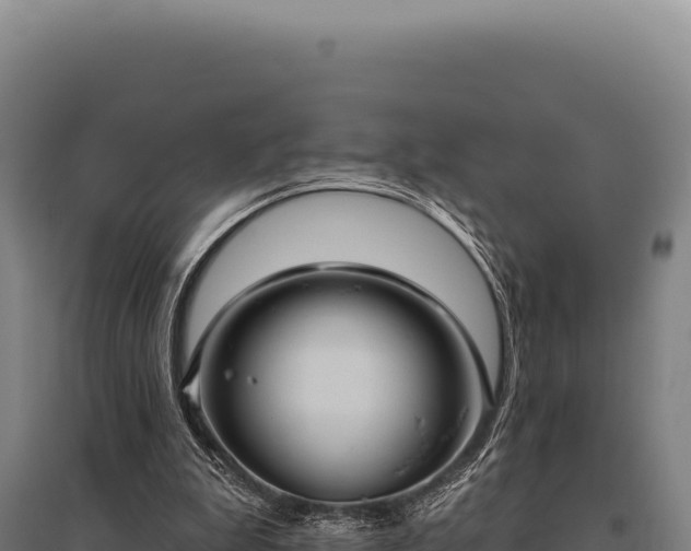 X0000095960199200801181453