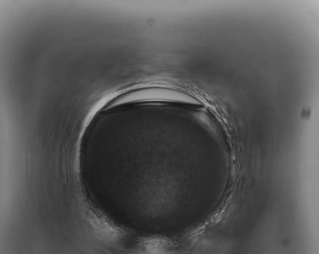 X0000095960200200801181453