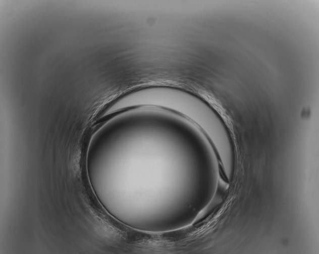 X0000095960201200801181453