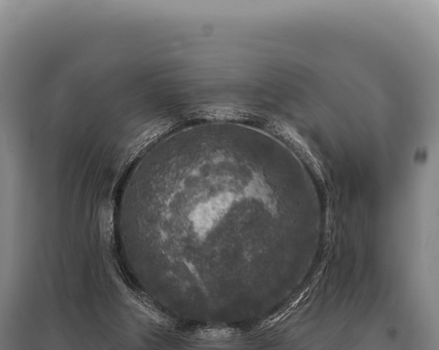 X0000095960202200801181453