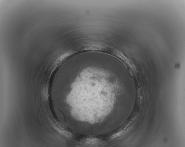 X0000095960203200801181453