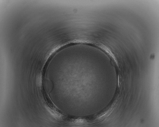 X0000095960204200801181453