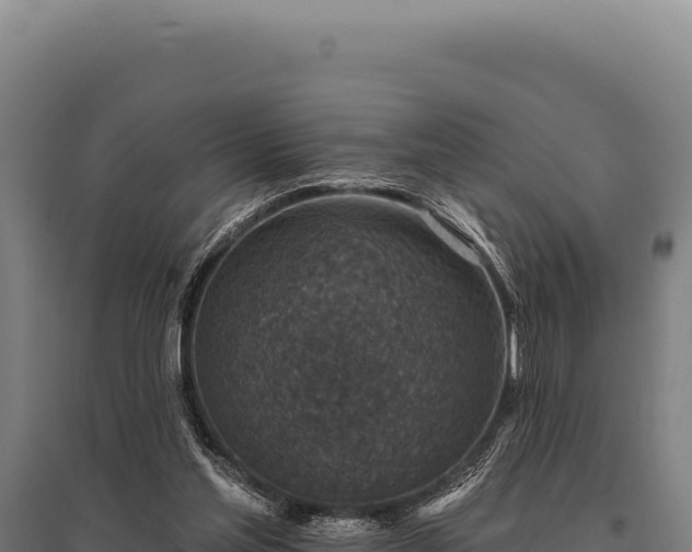 X0000095960205200801181453