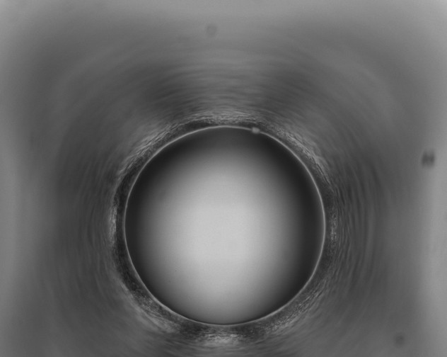 X0000095960206200801181453