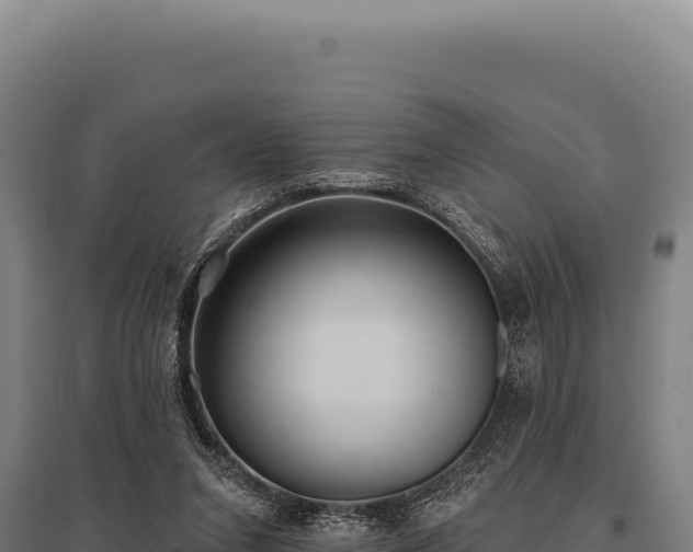 X0000095960207200801181453